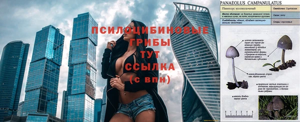 тгк Балабаново