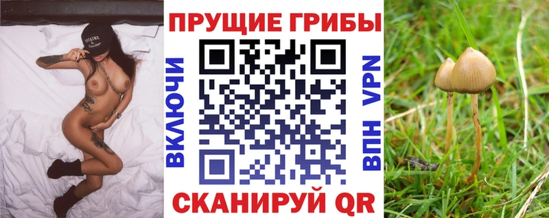 Псилоцибиновые грибы Magic Shrooms  как найти наркотики  Губаха 