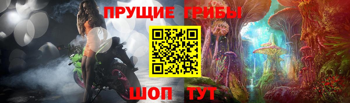 Губаха  Галлюциногенные грибы GOLDEN TEACHER  Вход с VPN 