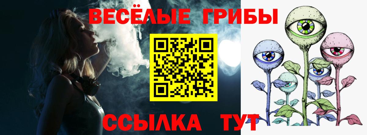 Псилоцибиновые грибы мухоморы Губаха